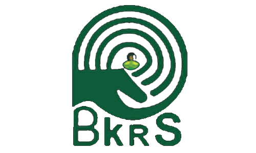 bkrs logo